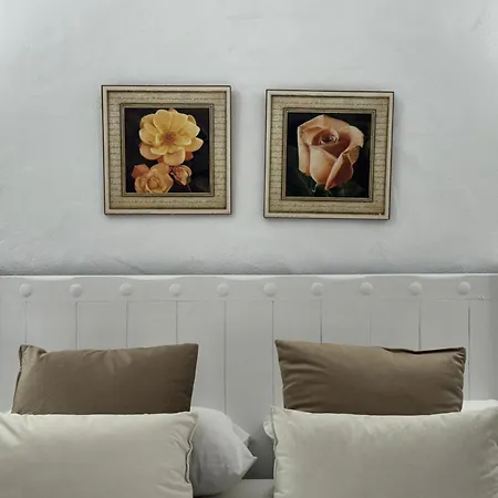 Dehesa Roche Viejo *