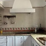 Venkovský dům Dehesa Roche Viejo *